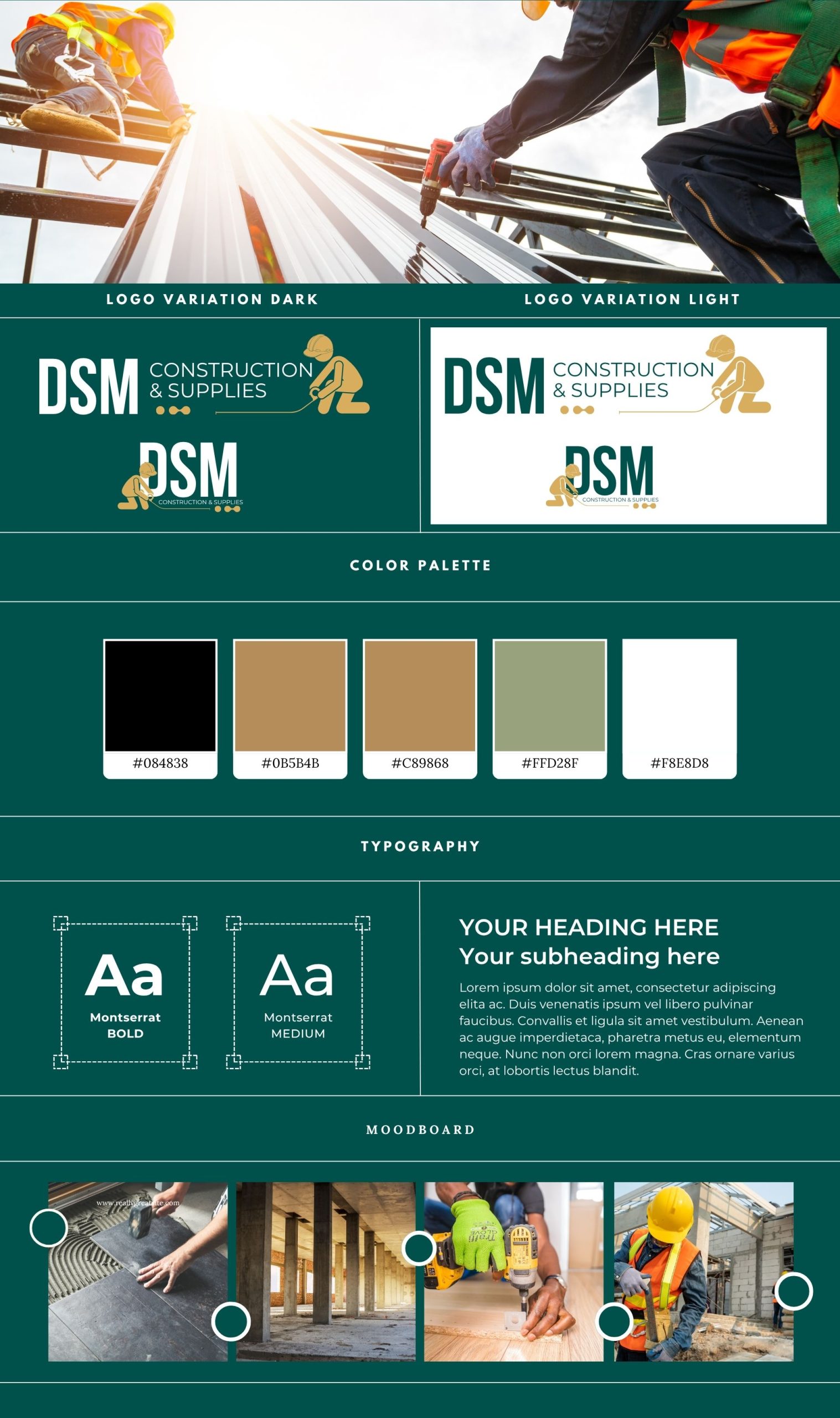 dsm brand guide